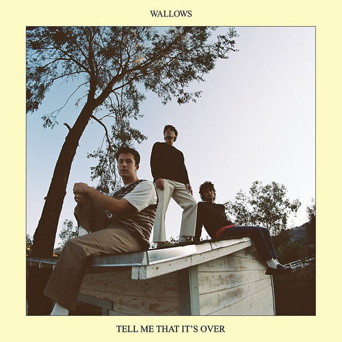 Wallows: Tell Me That It's Over [ Vinyl ]