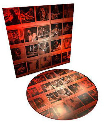 Chris Cornell: No One Sings Like You Anymore [ Vinyl ]