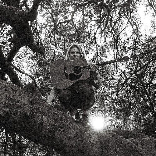 Ty Segall: Hello Hi [ Vinyl ]