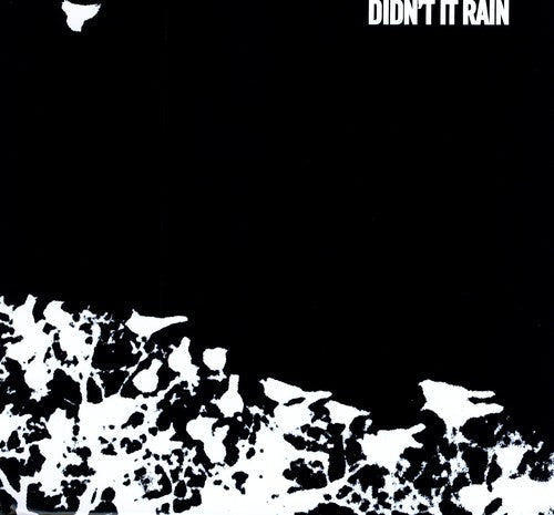 Songs: Ohia: Didn't It Rain [ Vinyl ]
