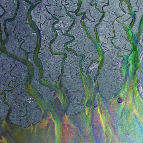 Alt-J: Awesome Wave [ Vinyl ]