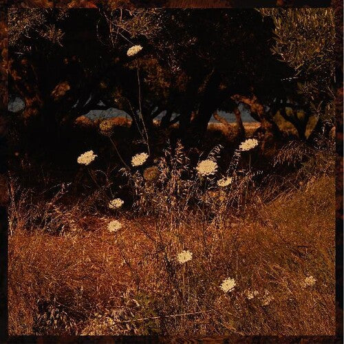Szun Waves: Earth Patterns - VINYL