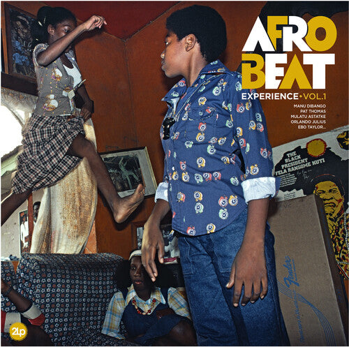 Afrobeat Experience: Vol 1 [ Vinyl ]