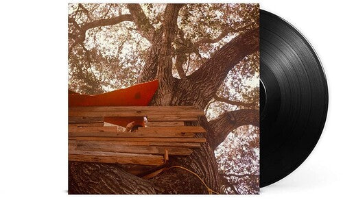 Backseat Lovers: Waiting To Spill [ Vinyl ]