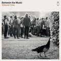 Various Artists: End Of The Road Presents: Between The Music / Var  / Vinyl Record