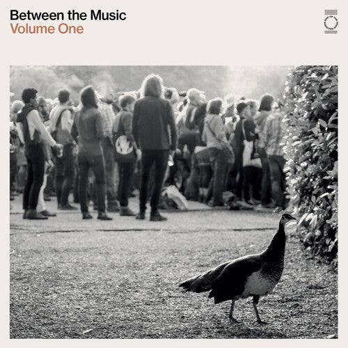 Various Artists: End Of The Road Presents: Between The Music / Var  / Vinyl Record