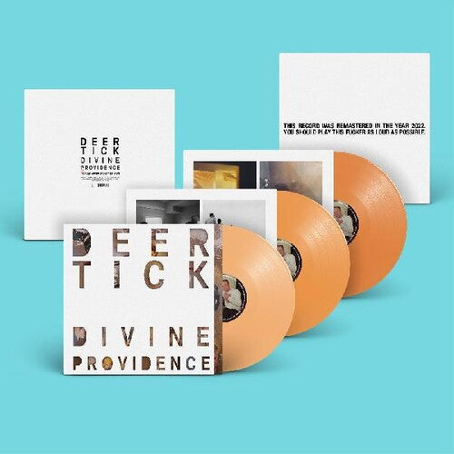 Deer Tick: Divine Providence [ Vinyl ]