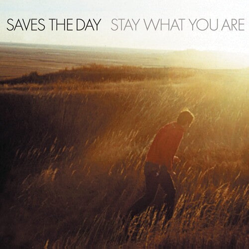 Saves the Day: Stay What You Are [ Vinyl ]