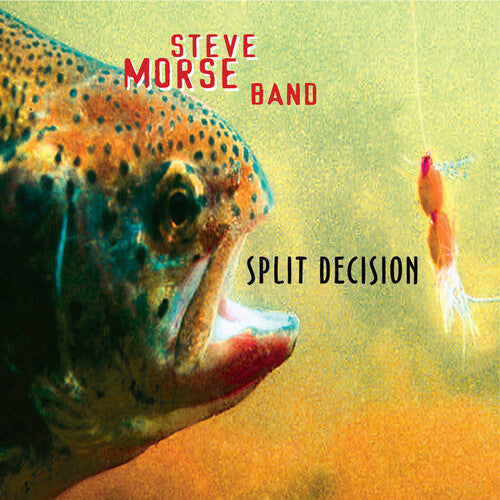 Steve Morse Band: Split Decision [ Vinyl ]