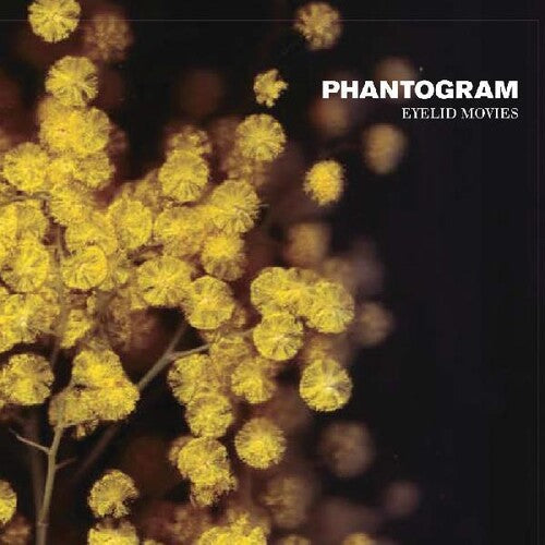 Phantogram: Eyelid Movies [ Vinyl ]