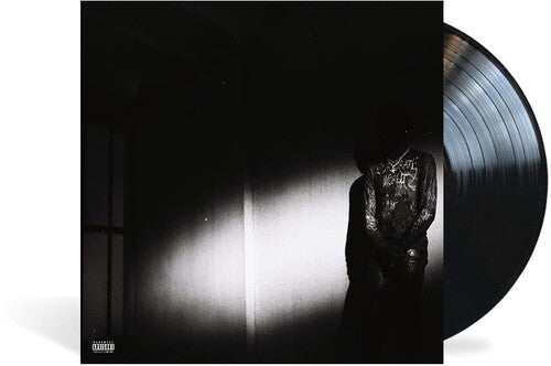 Destroy Lonely: No Stylist [ Vinyl ]