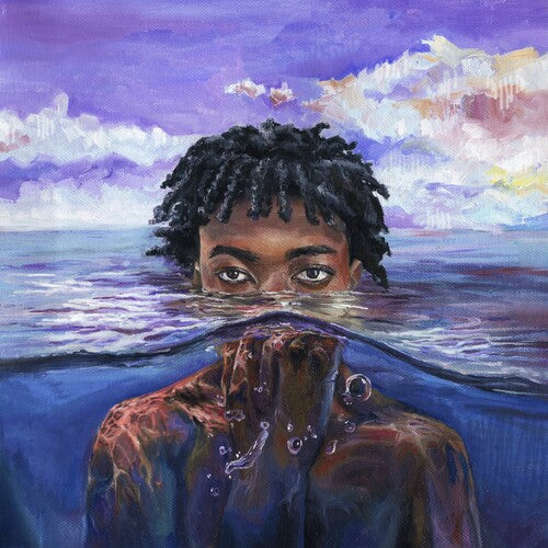 Redveil: LEARN 2 SWIM [ Vinyl ]