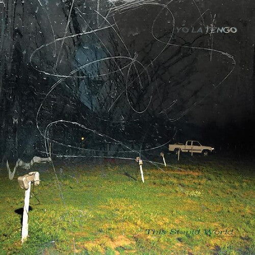 Yo La Tengo: This Stupid World [ Vinyl ]