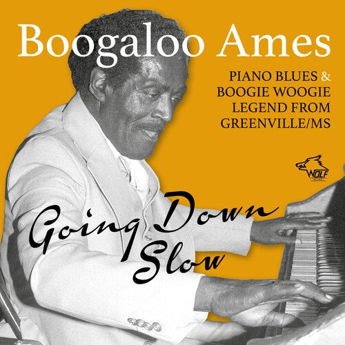 Ames Boogaloo: Going Down Slow - Compact Disc