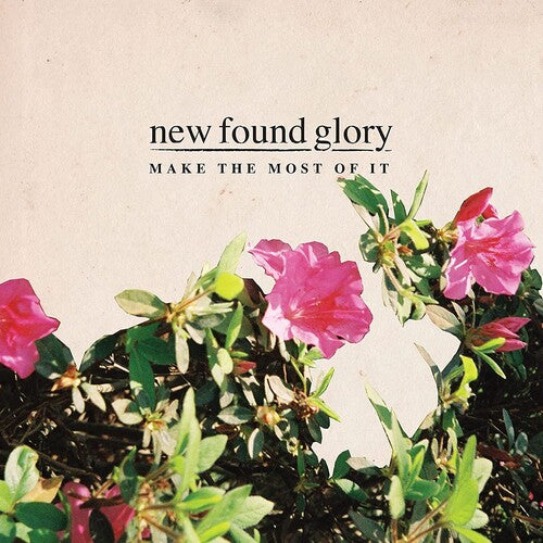 New Found Glory: Make The Most Of It [ Vinyl ]