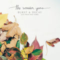 The Wonder Years: Burst & Decay: Live From New York - VINYL