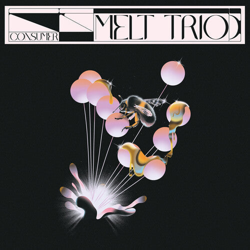 Melt Trio: Consumer - CD