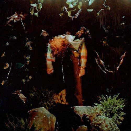 Cavetown: Worm Food [ Vinyl ]