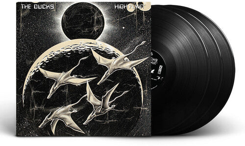 Ducks: High Flyin [ Vinyl ]