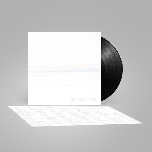 Foo Fighters: But Here We Are (Black Vinyl) [ Vinyl ]