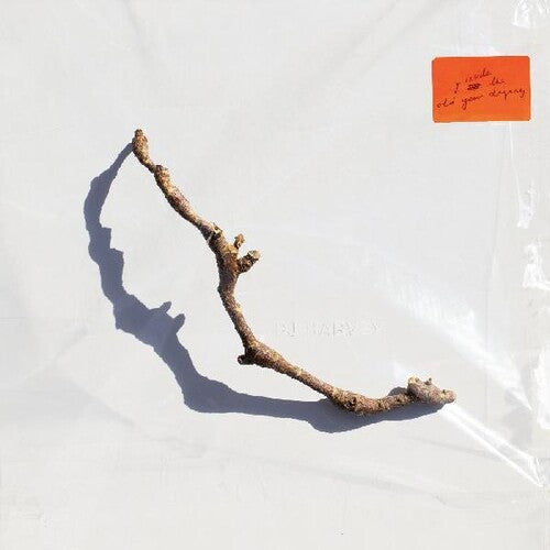 PJ Harvey: I Inside The Old Year Dying [ Vinyl ]