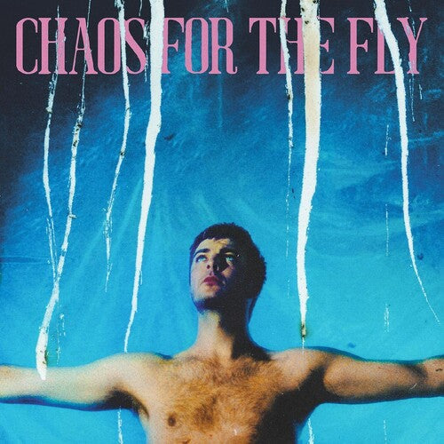 Grian Chatten: Chaos For The Fly [ Vinyl ]