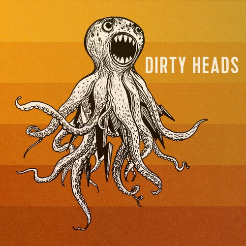 Dirty Heads: Dirty Heads [ Vinyl ]