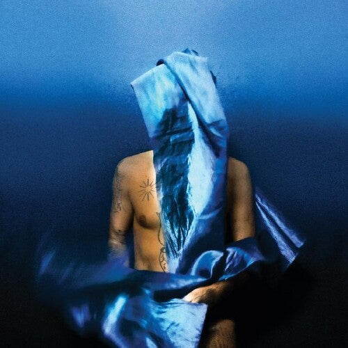 Devendra Banhart: Flying Wig [ Vinyl ]