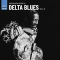 Various Artists: The Rough Guide To Delta Blues 2 (Various Artists) - VINYL