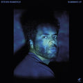Steven Bamidele: Summing Up - VINYL