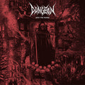 Dungeon: Into The Ruins - VINYL