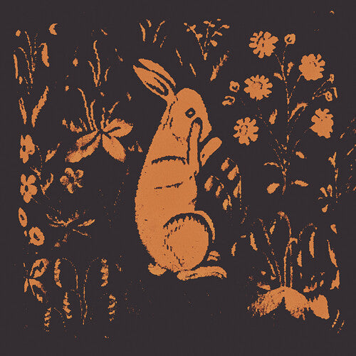 Sadness: Rabbit Album - VINYL