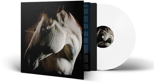 Brother Dege: How To Kill A Horse  / Vinyl Record
