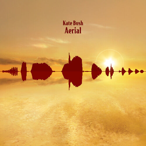 Kate Bush: Aerial - 2018 Remaster 180gm Black Vinyl [ Vinyl ]