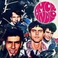 Amor Indio: Amor Indio - VINYL