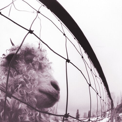 Pearl Jam: Vs. (30th Anniversary Edition) [ Vinyl ]