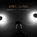 Ambrose Akinmusire: Owl Song - VINYL