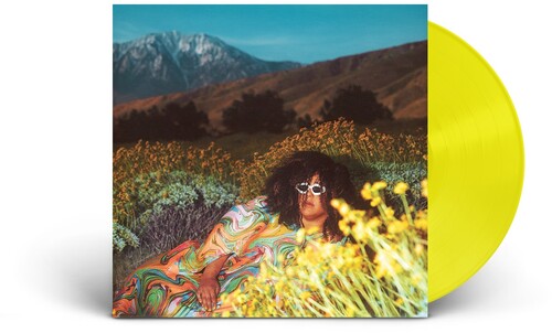 Brittany Howard: What Now [ Vinyl ]