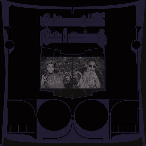 Shabazz Palaces: Exotic Birds of Prey  / Vinyl Record