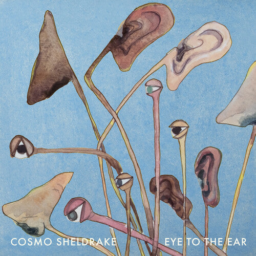 Cosmo Sheldrake: Eye to the Ear [ Vinyl ]