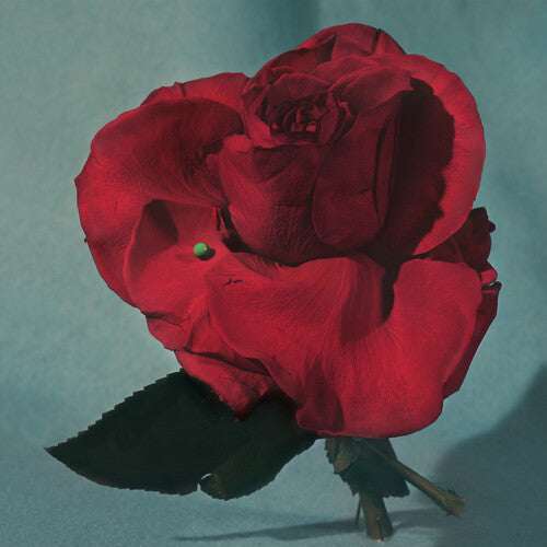 METZ: Up on Gravity Hill - Clear w/ Red [ Vinyl ]