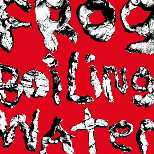 DIIV: Frog In Boiling Water [ Vinyl ]