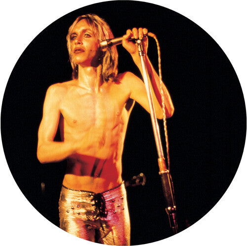 Iggy & The Stooges: More Power [ Vinyl ]