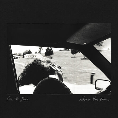 Sharon Van Etten: Are We There (10 Year Anniversary Edition) [ Vinyl ]