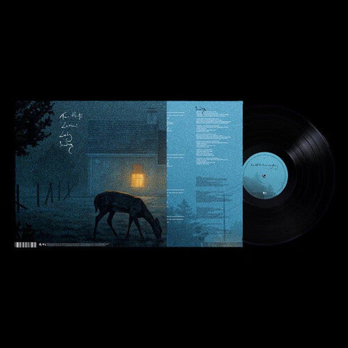 Dermot Kennedy: I've Told The Trees Everything [ Vinyl ]