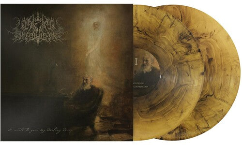 Wake in Providence: I Write To You My Darling Decay [ Vinyl ]