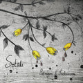 Pettersson & Fredriksson: Sotali  / Vinyl Record