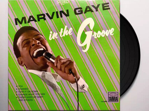 Marvin Gaye: In The Groove [ Vinyl ]