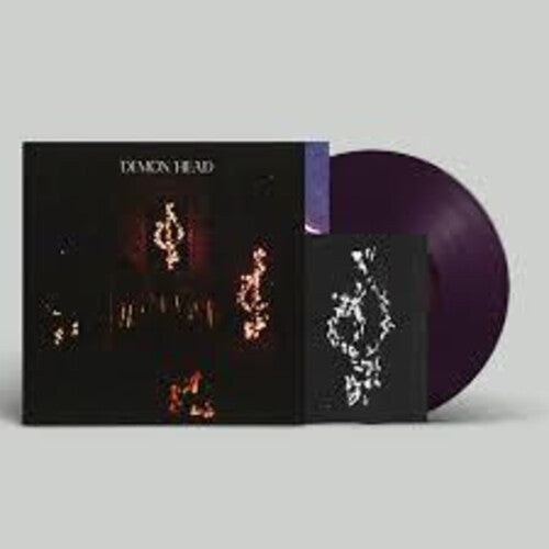 Demon Head: Through Holes Shine The Stars - VINYL