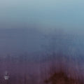 Ross McHenry: Waves - CD